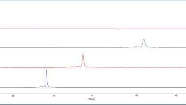 How to develop a method for commercial MAbs using a Dial-a-mix method and YMC’s BioPro IEX SF column